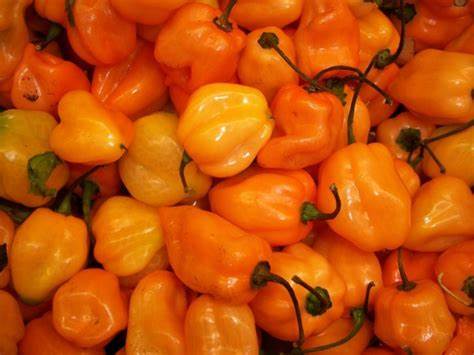 Goya Salsita Salsa Picante Chile Variedad Habanero – 226 ml