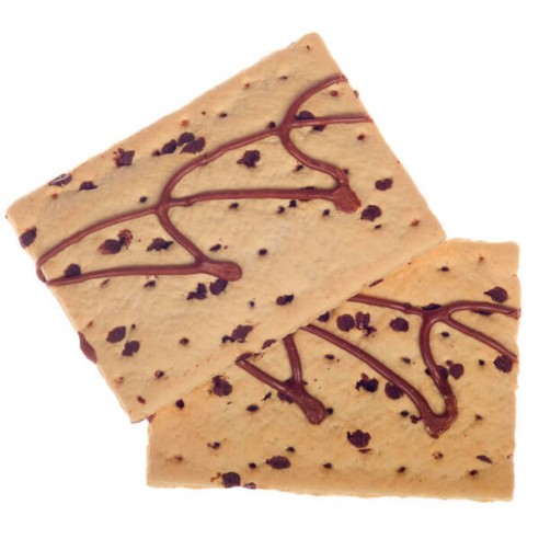 PopTarts chocolate chip 384 gr