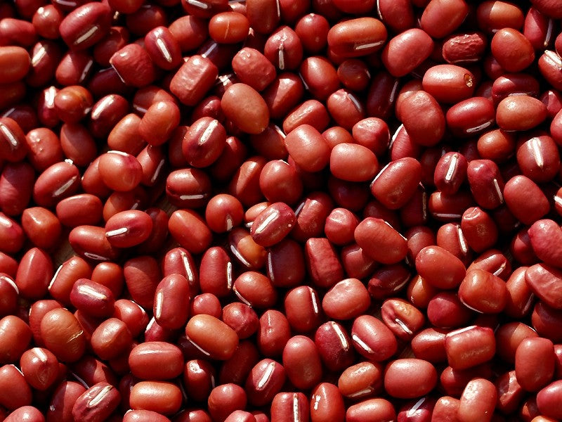 Goya Frijoles Rojos Pequeños 425g (15 OZ)X2