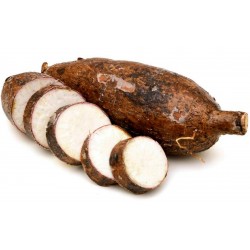 AMERICA CONGELADO YUCA ENTERA 1000 gr