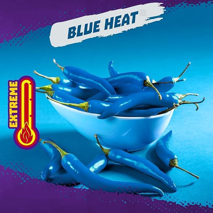 Takis Blue Heat 92.3gr